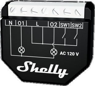 Shelly Qubino Wave 2PM